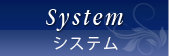 システム